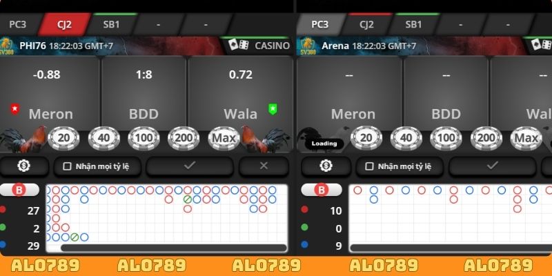 Theo dõi trận đấu đá gà và đưa ra dự đoán hiệu quả