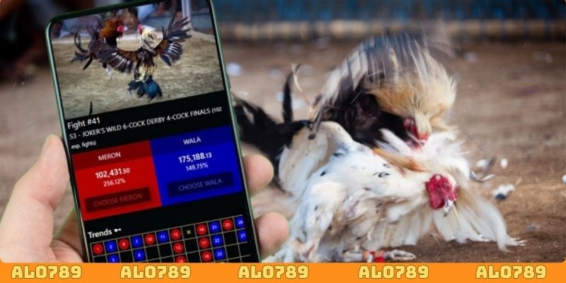Tìm hiểu về cược đá gà cựa sắt ALO789